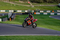 Lower Group Orange Bikes